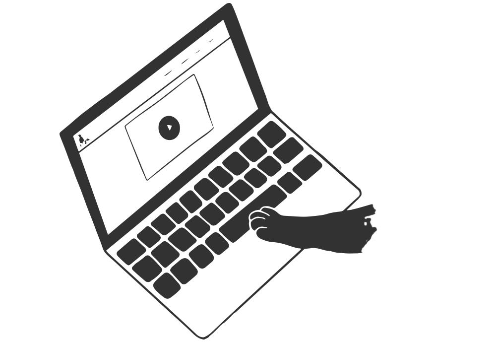 Gatito con computadora